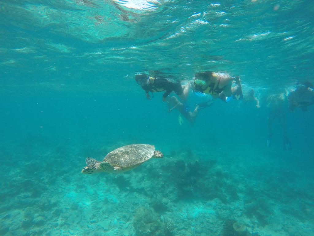Luau Inn, Maldives Fulidhoo