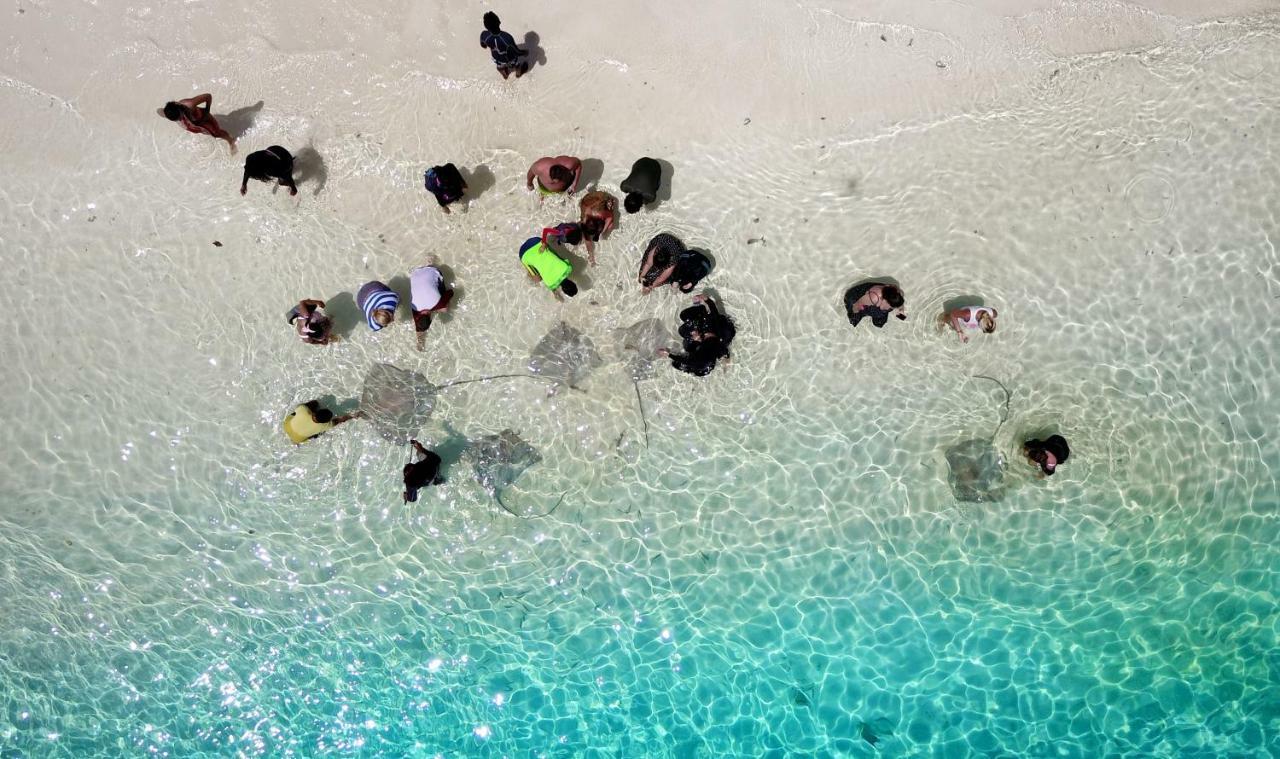 Luau Inn, Maldives Fulidhoo
